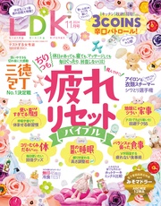 2024年11月号【電子書籍版限定特典付き】