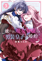 : 3【イラスト特典付】