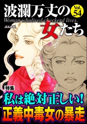 私は絶対正しい！ 正義中毒女の暴走　Vol.54