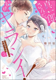 【かきおろし漫画付】 (3)