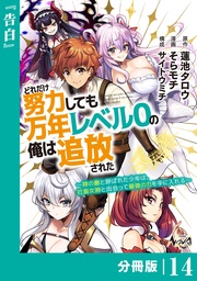 （ノヴァコミックス）１４