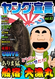 Vol.63