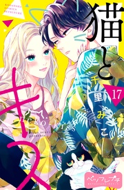 （１７）