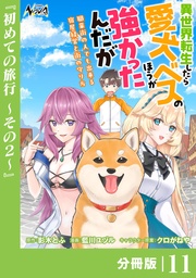 （ノヴァコミックス）１１