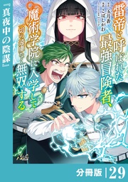 （ノヴァコミックス）２９