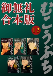むこうぶち　高レート裏麻雀列伝　【御無礼合本版】（12）