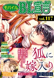 Vol.117