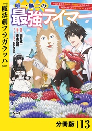 （ノヴァコミックス）１３