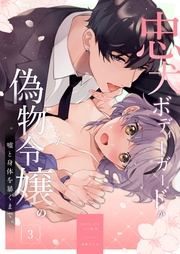 （３） 【電子限定特典付き】