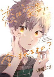 「恋」は「家事（しごと）」に含まれますか？【完全版(特典付き)】