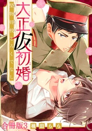 大正仮初婚 堅物将校とろくでなし合冊版3
