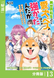 （ノヴァコミックス）１３