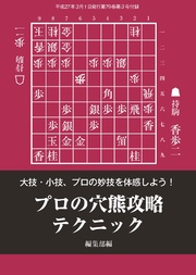 将棋世界（日本将棋連盟発行）プロの穴熊攻略テクニック