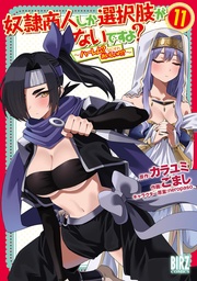 (11) ～ハーレム？なにそれおいしいの？～ 【電子限定おまけ付き】