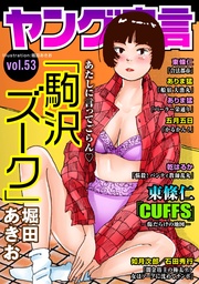 Vol.53