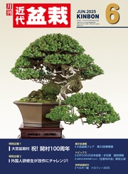 2025年6月号