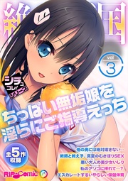 vol3 ～●●●●無垢娘を淫らにご指導えっち～【シチュコレ！シリーズ】
