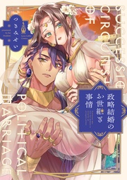 政略結婚のお世継ぎ事情【電子限定漫画付き】