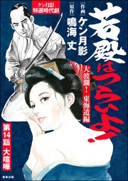 大波瀾！ 東海道編　【第14話】