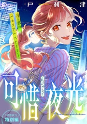 特別編－可惜夜光－