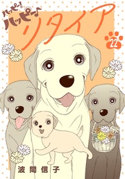 （２２）　特別編：リタイア