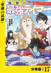 （ノヴァコミックス）１７