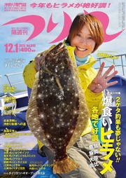 つり丸 2013年 12/1号