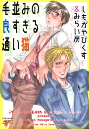 毛並みの良すぎる通い猫