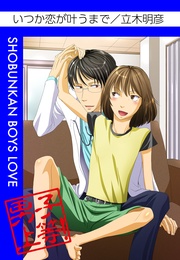 いつか恋が叶うまで