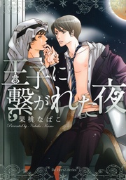 王子に繋がれた夜