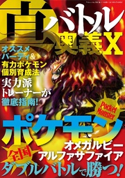 真・バトル奥義X