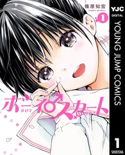 ボーイスカート