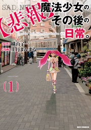 【悲報】魔法少女のその後の日常。