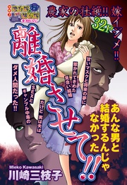 離婚させて！！