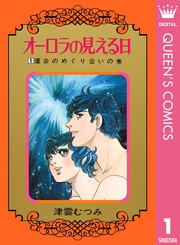 オーロラの見える日