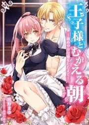 王子様とむかえる朝～秘めやかな蜜をたたえて～