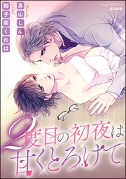 2度目の初夜は甘くとろけて【イラスト入り】