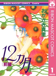 12ヵ月