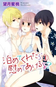 泊めてくれたら慰めてあげるよ？