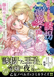 なりゆきで誘拐したら、溺愛されました~王子様と甘い恋の攻防戦~