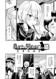 真夜中の契約と黒い猫