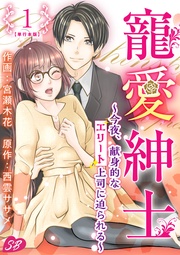 寵愛紳士~今夜、献身的なエリート上司に迫られる~ 単行本版