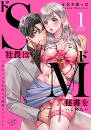 【ラブチーク】ドS社長はドM秘書をいじめたい~オフィスでぬれとろ玩具レビュー~