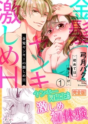 金髪ヤンキーの激しめH~初めては俺でイけ【完全版】