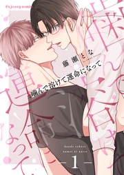 噛んで溶けて運命になって