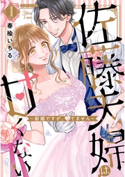 佐藤夫婦は甘くない～新婚ですが、シてません～ 【電子版限定特典付き】
