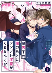 腐男子の俺のもとにツンデレ淫魔がくるなんて！？