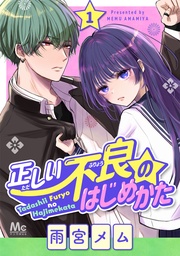 正しい不良のはじめかた